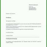 Selten Kündigung Strom Und Gas Vorlage 890x1249