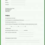 Selten Otelo Kündigung Vorlage Pdf 826x1169