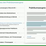 Hervorragen Vorlage Praktikumszeugnis 1000x667