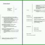 Exklusiv Lebenslauf Vorlage Word Kostenlos 893x627
