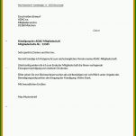 Sensationell Abo Kündigung Vorlage Pdf 708x988