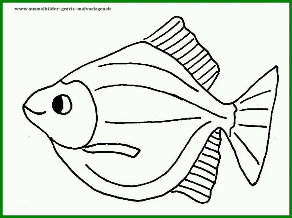 Original Fisch Vorlage 1028x768