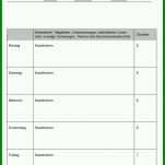 Hervorragend Ihk Berichtsheft Vorlage Pdf 713x890
