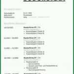 Singular Lebenslauf Vorlage Pdf Kostenlos Ohne Anmeldung 950x1516