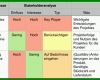 Allerbeste Stakeholderanalyse Vorlage 900x254