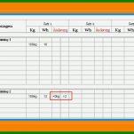Einzahl Trainingsplan Vorlage Excel 798x509