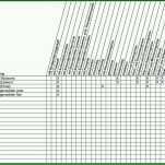 Einzahl Allergene Tabelle Vorlage 1345x1064