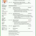 Einzahl Cv Englisch Vorlage 950x1343