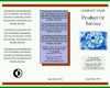 Allerbeste Faltblatt Vorlage Word 2010 704x545