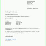 Spezialisiert Kündigung Versicherung Vorlage 868x1227