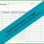 Limitierte Auflage Medikationsplan Vorlage 1593x1130
