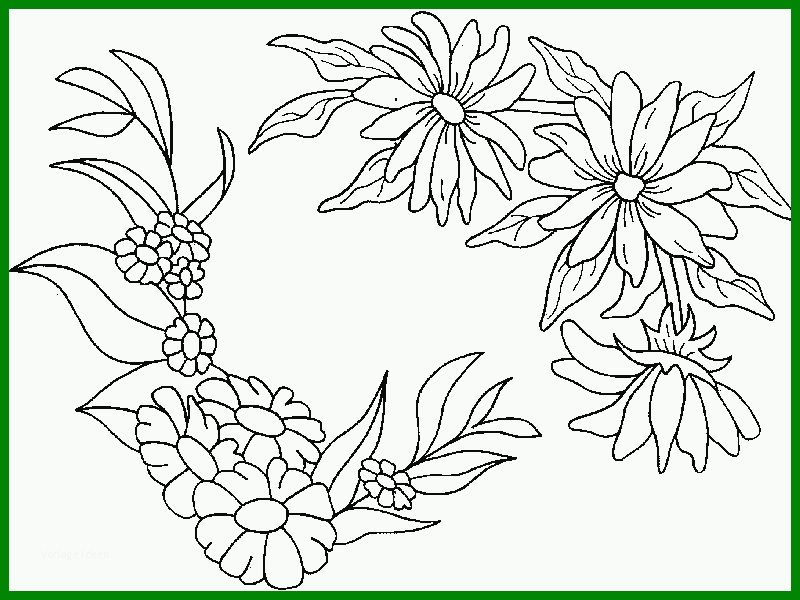 Modisch Ausmalbilder Blumen Ranken Kostenlos Malvorlagen Zum 636041