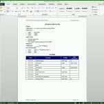 Tolle Auditplan Vorlage Excel 1007x987