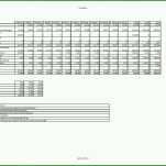 Spektakulär Excel Finanzplan Vorlage 1754x1240