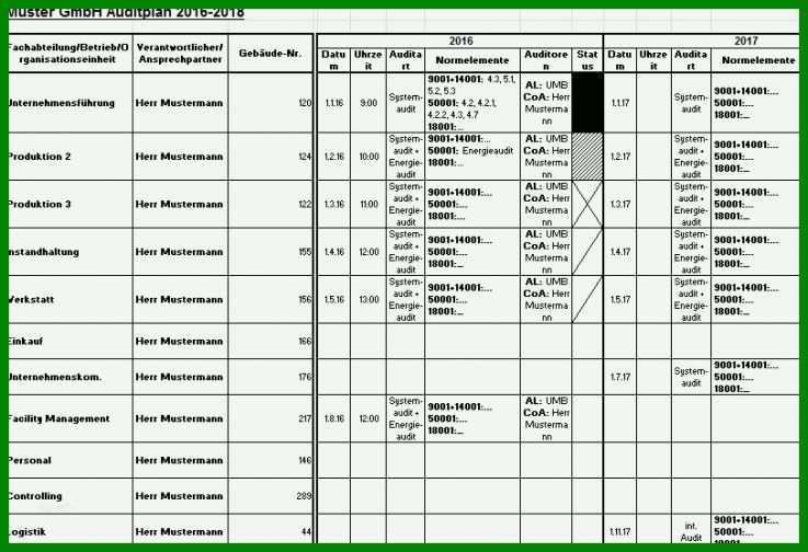 Singular Interne Audits Vorlage 813x556